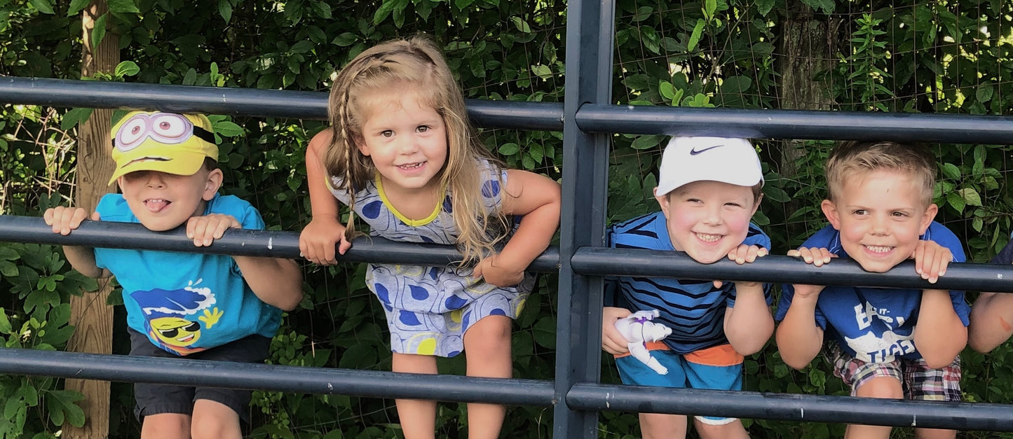 July Blueberry Season