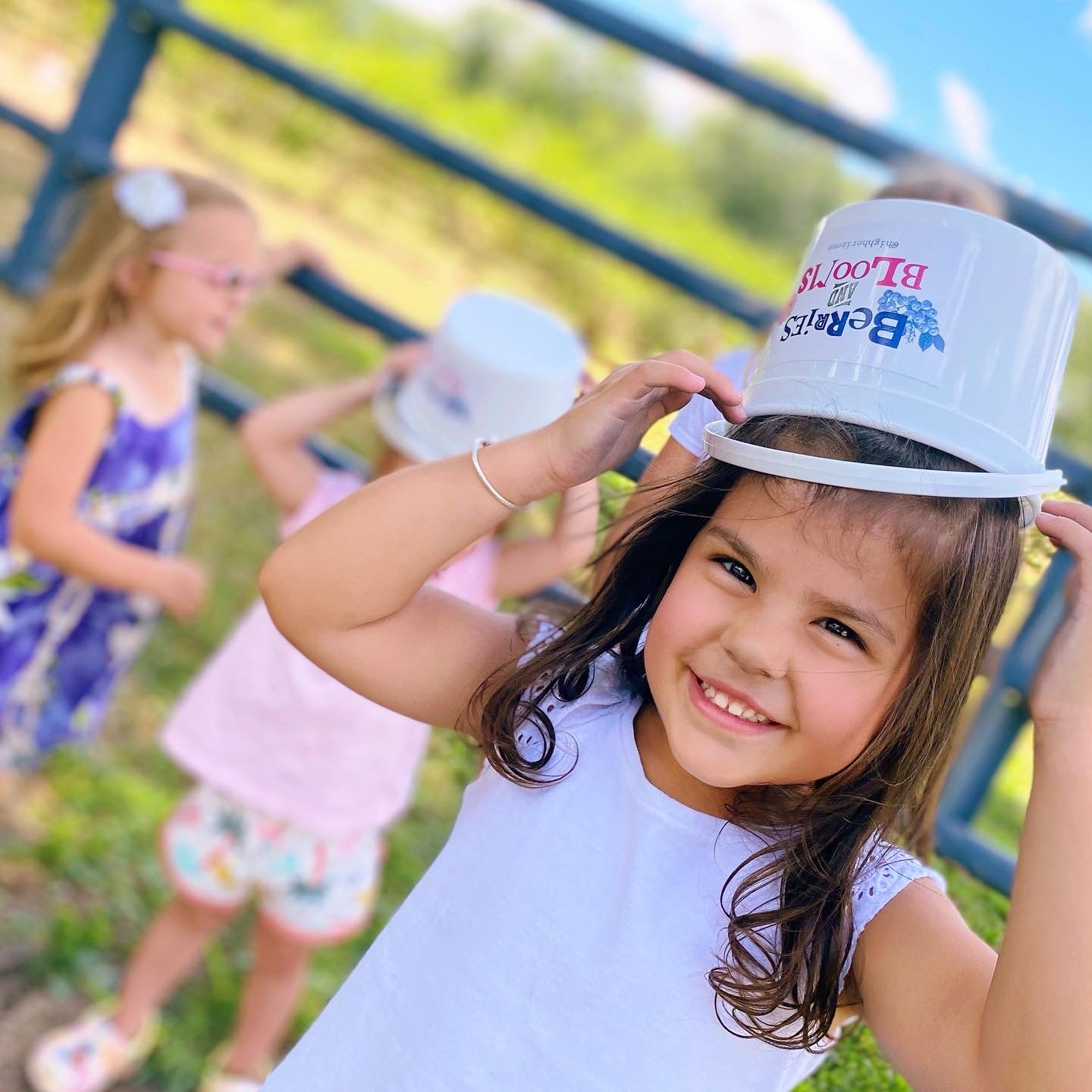 July Blueberry Season