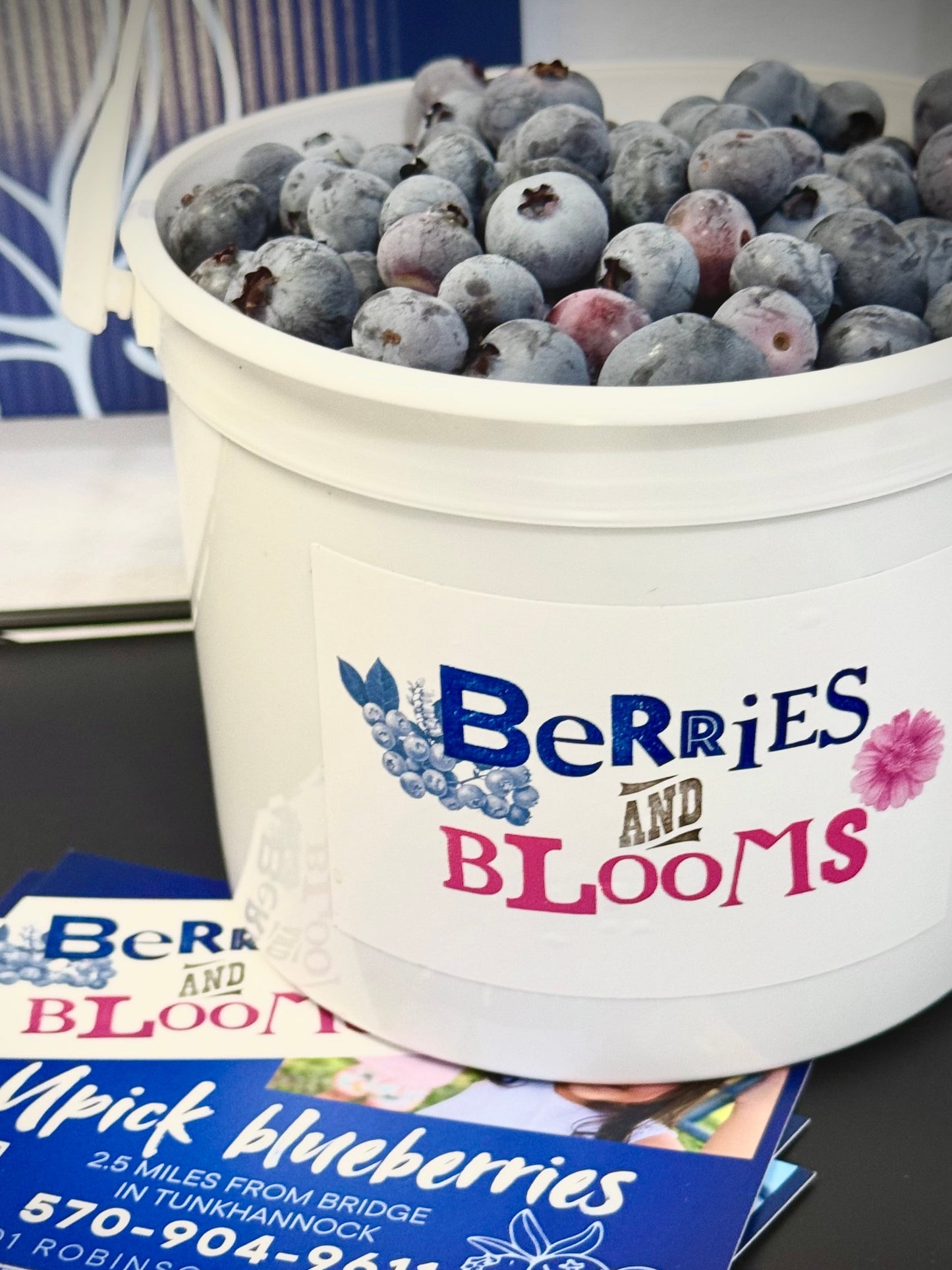 July Blueberry Season